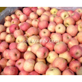 მაღალი ხარისხის კარგი Tasty Shandong Fuji Apple